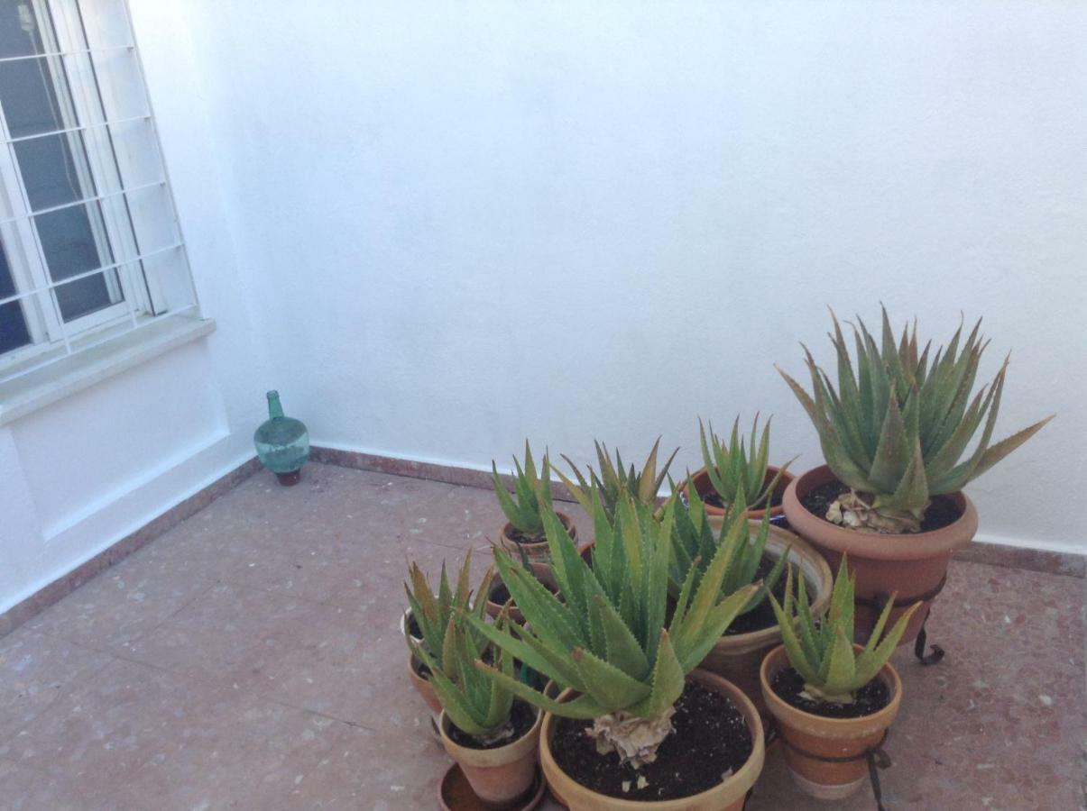 Casa Soleada En Calle Tranquila Sevilla Exterior foto